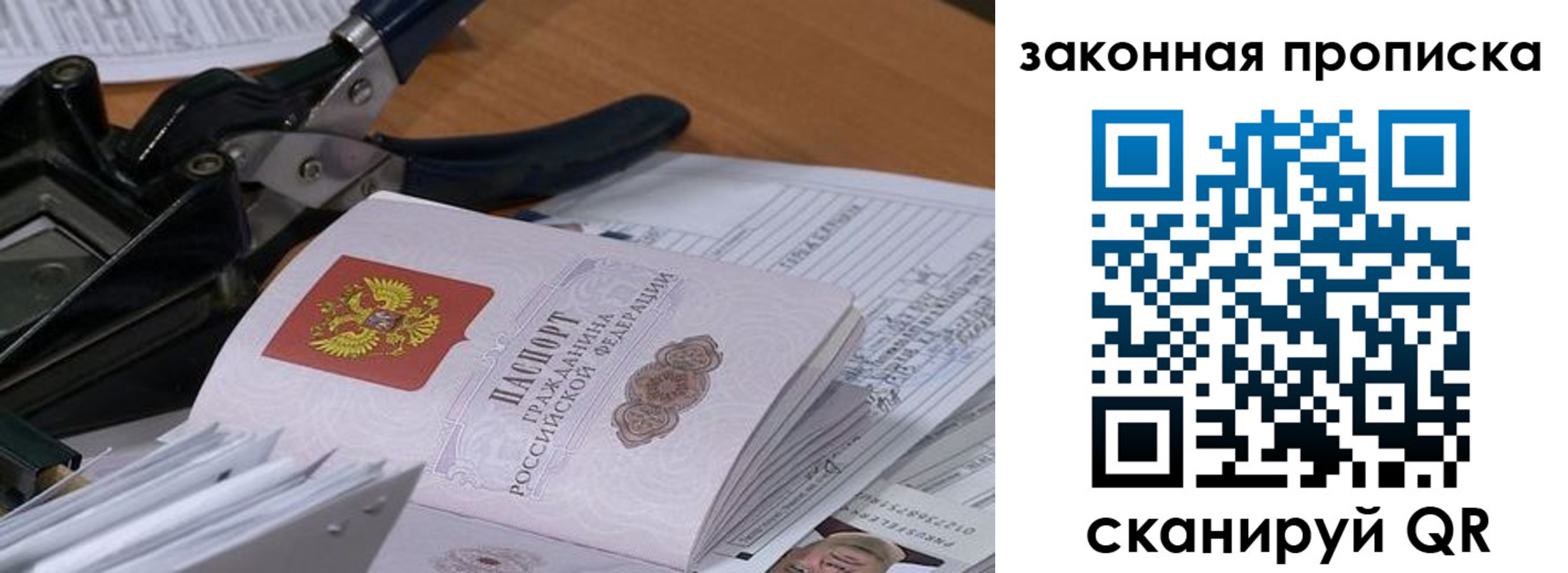 прописка 2025 в Невеле